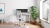 Nevi-sit-stand-desk.jpg