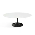 Saarinen-Low-Table-Outdoor-black-Stolik-kawowy-Saarinen-czarny-107cm-Knoll (1).jpg