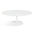 Saarinen-low-table-outdoor-Stolik-kawowy-ogrodowy-Saarinen-Knoll (4).jpg