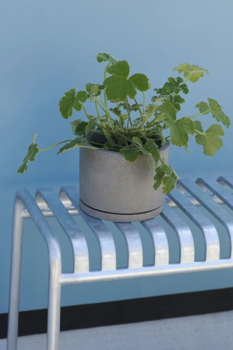 Plant_Pot_with_Saucer_L_grey_Palissade_Bench_hot_galvanized.jpg