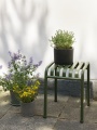 Palissade_Stool_olive_Plant_Pot_with_Saucer_XL_black_Plant_Pot_with_Saucer_M_grey_Botanical_Family_Set_L_dusty_green.jpg