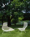 Bertoia Liege OUTDOOR Knoll International04e1d_1920x1920.jpg