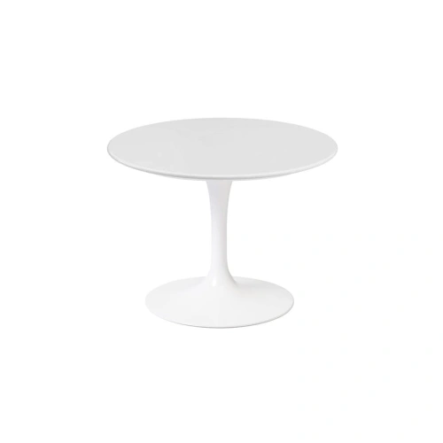 169T-R_2_F2_FZ white laminate satin finish.jpg