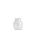 Silent-vase-11-clear-muuto-5000x5000-hi-res.jpg
